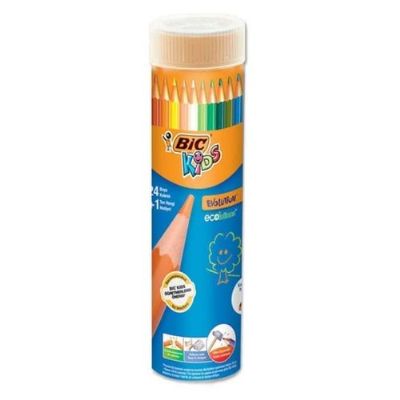 cepte ofis BİC EVOLUTİON KURU BOYA KALEMİ 24+1 METAL TÜP